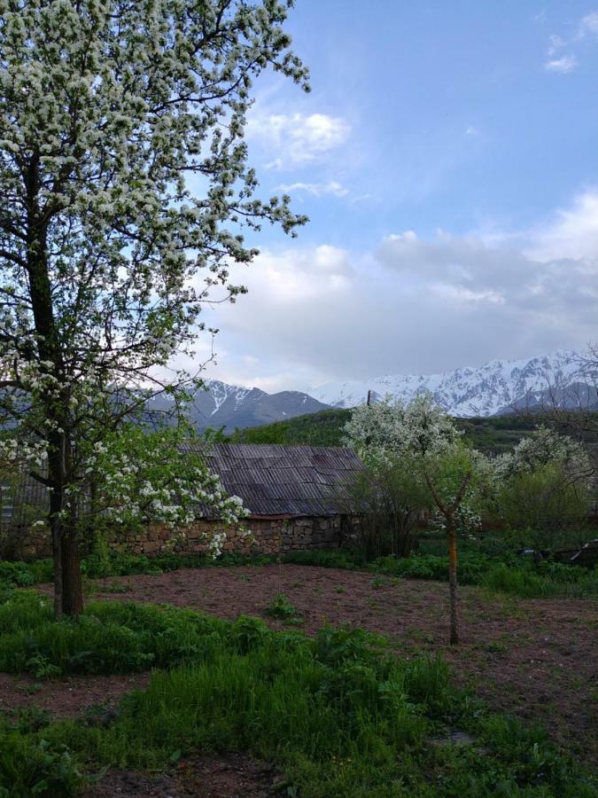 Tatev Guest House Esterno foto