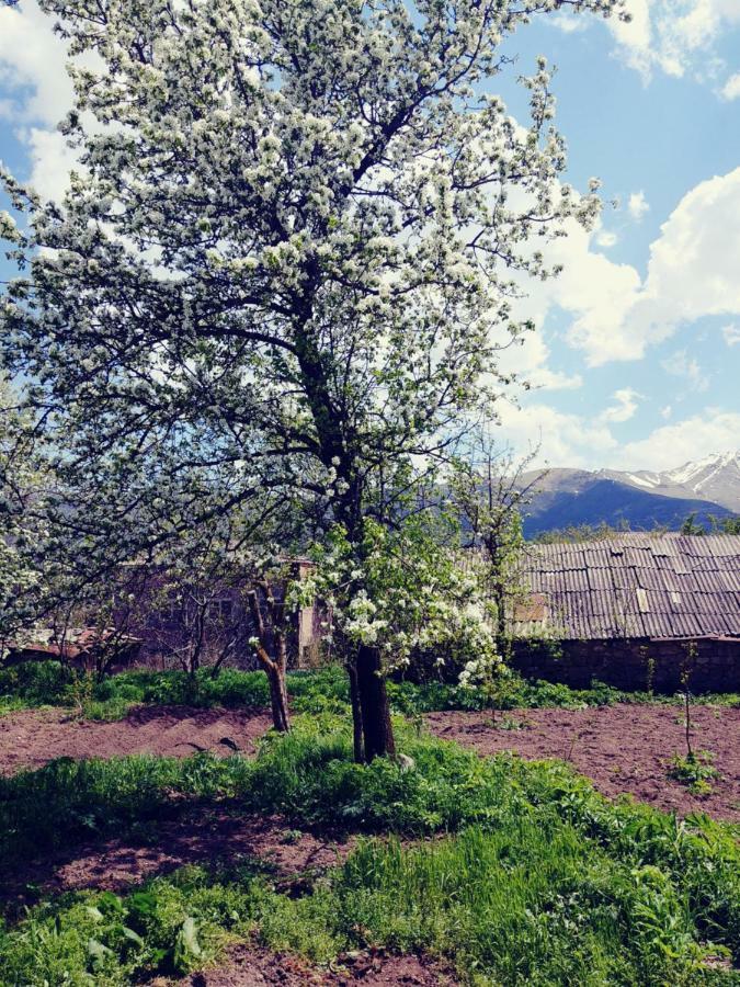 Tatev Guest House Esterno foto